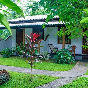 nimsara-lodge-sigiriya.kandyhotelsnow.com/
