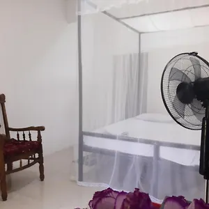 T & U Проживание в семье