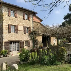 pey-sud-gaua.midi-pyreneeshotels.com/
